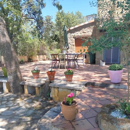 Casa Rural Vinas Perdidas Bejar Ngoại thất bức ảnh