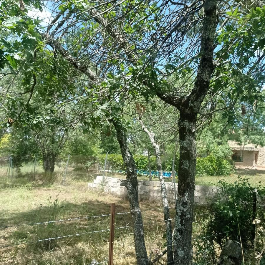 Casa Rural Vinas Perdidas Bejar Ngoại thất bức ảnh