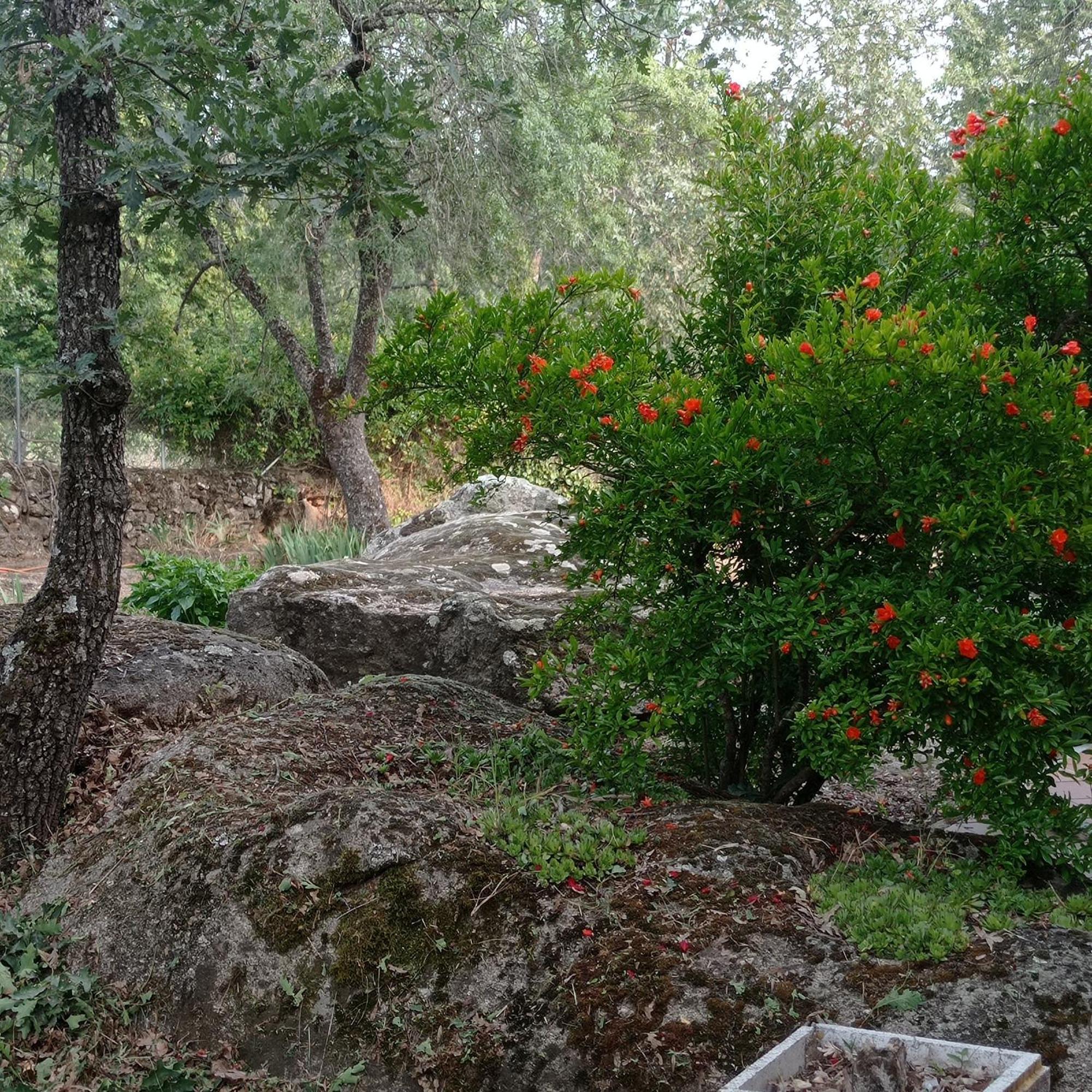 Casa Rural Vinas Perdidas Bejar Ngoại thất bức ảnh