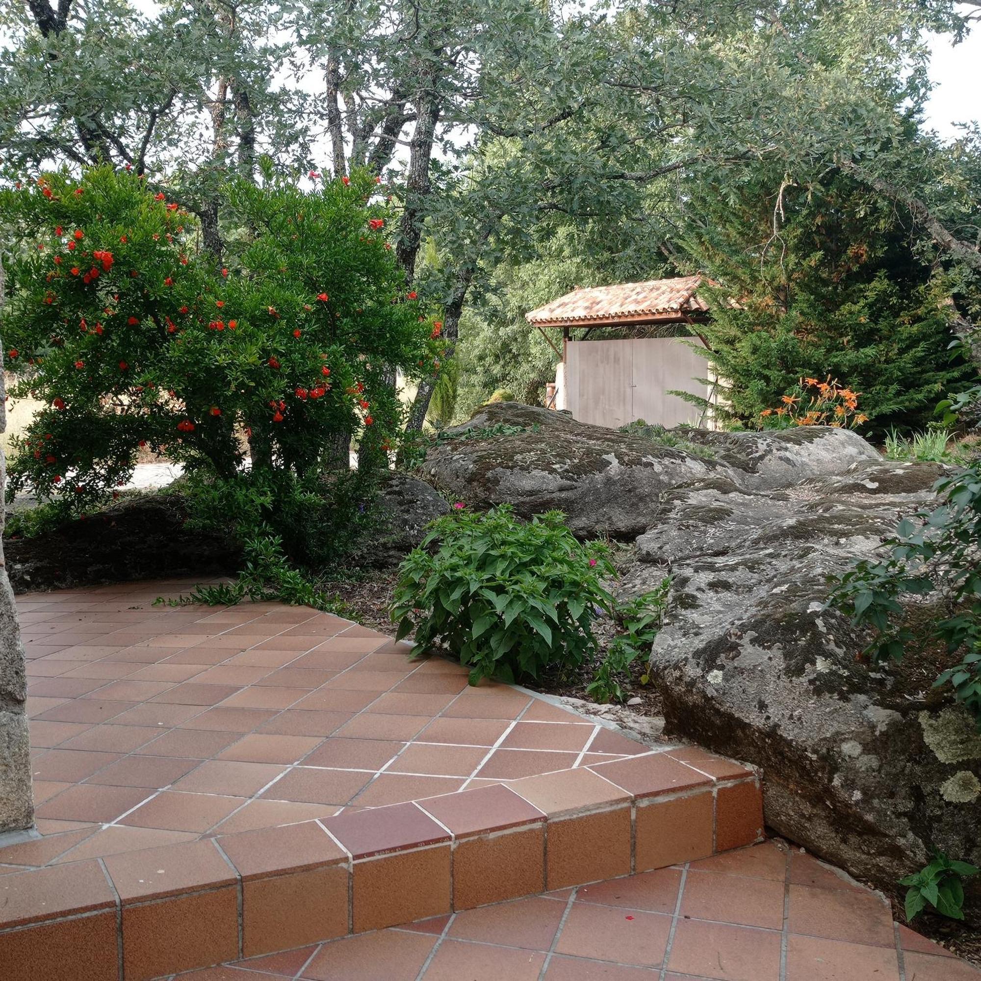 Casa Rural Vinas Perdidas Bejar Ngoại thất bức ảnh